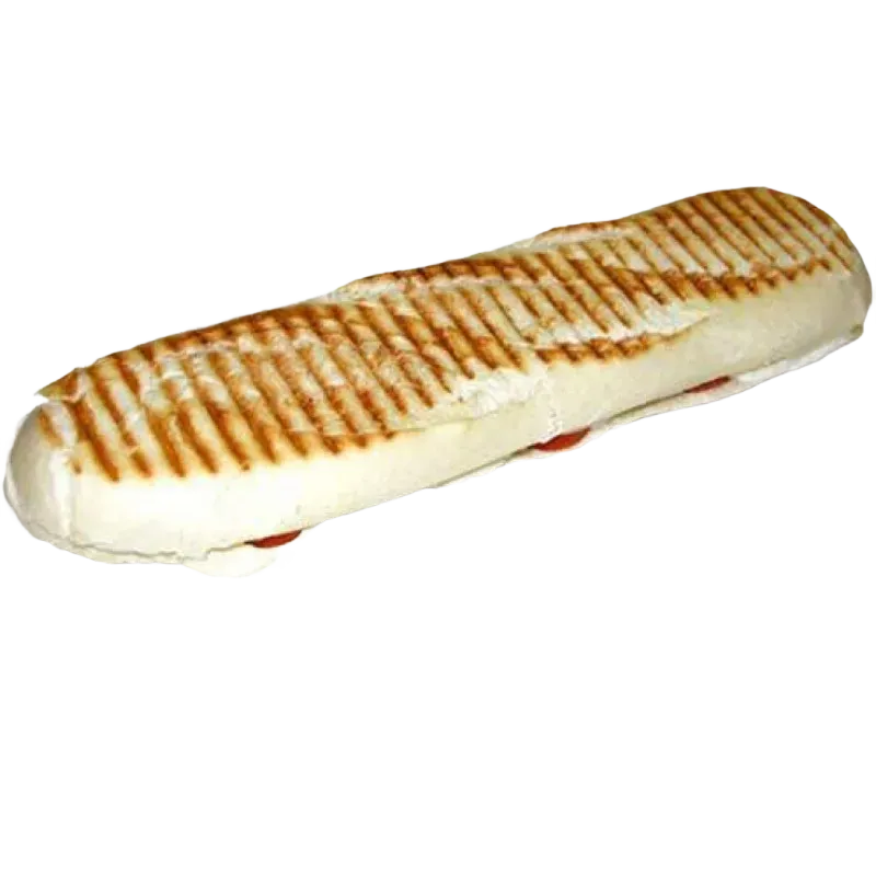Paninis